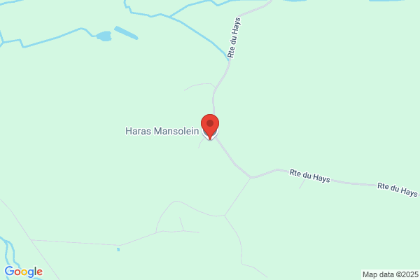 Mansolein