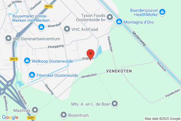 Schaafsma Bestratingen
