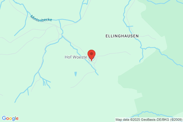 Woeste Woud, Het