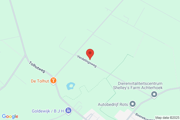 Verhoeve, Ton