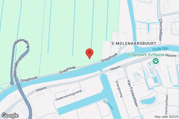 Betuw Bv, Van