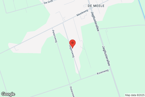 Jaspers Rietdekkersbedrijf W