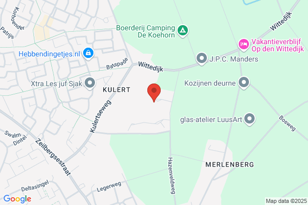Vriends, Pieter