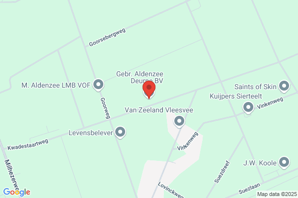 Elzen, Th F Van Den
