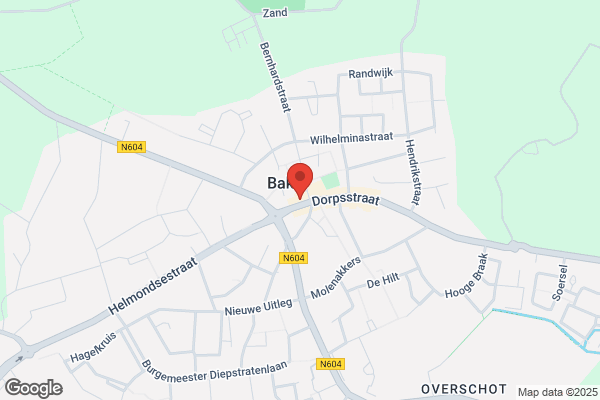 Gouden Leeuw, De