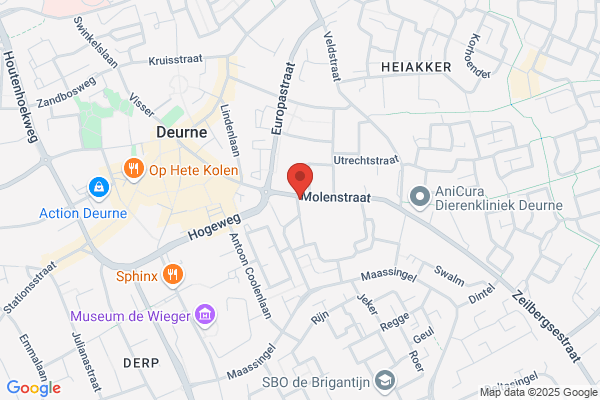 Deco-Klus Neervens
