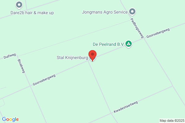 J.P.B. Knijnenburg