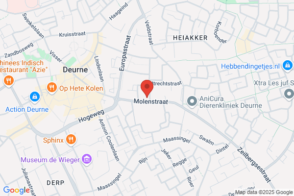 Lentefris