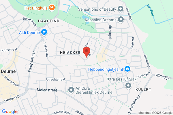 Huis Havelaer, Het