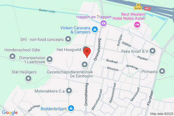 Netcap Bv