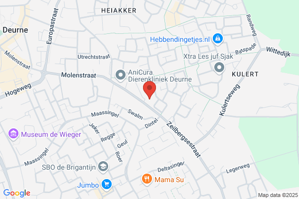 Chiropractie Deurne