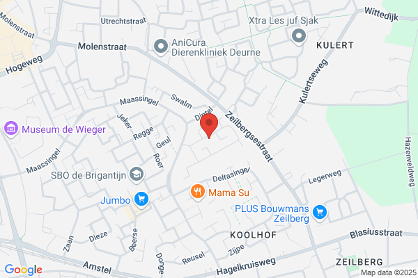 Bots & Borghstijn