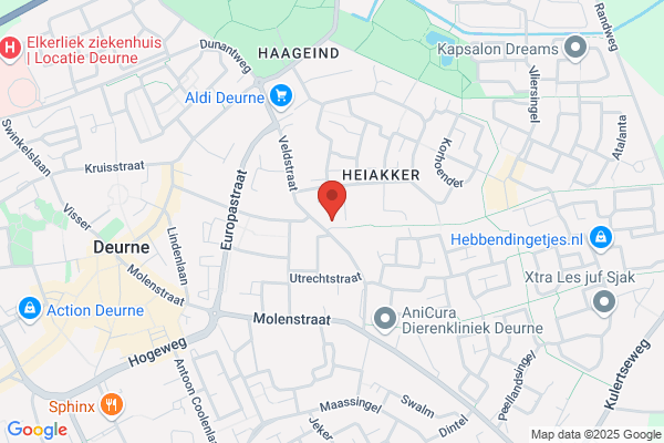 Holten's Molen Deurne