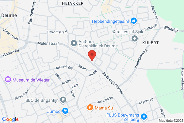 Hoonings Glas- en Schilderwerk