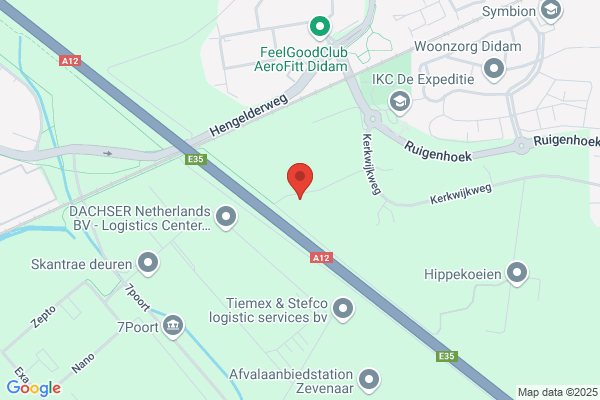Leeuw, De