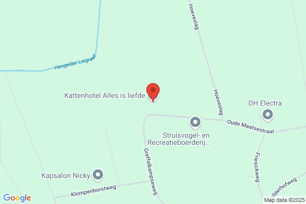 Kattenhotel Alles is liefde