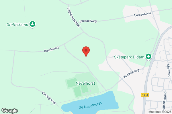 Looman, Henk