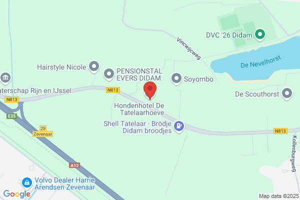 Kennel De Molenhoek