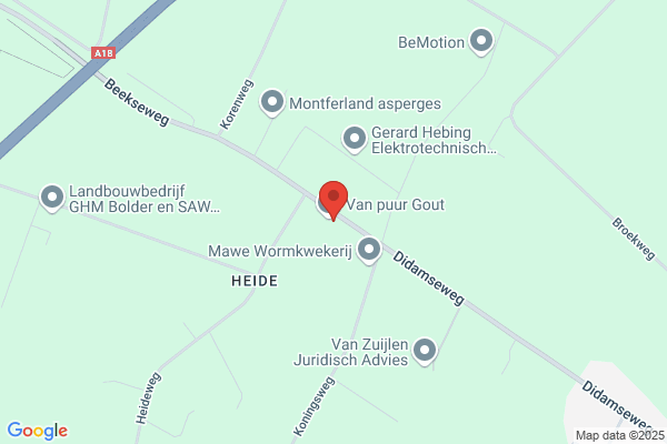 Dokter Automatisering & Adviezen