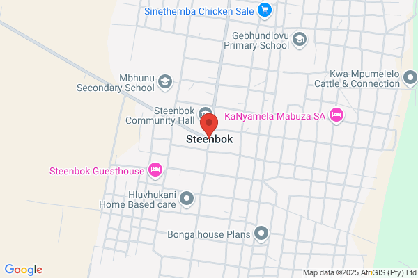 Steenbok