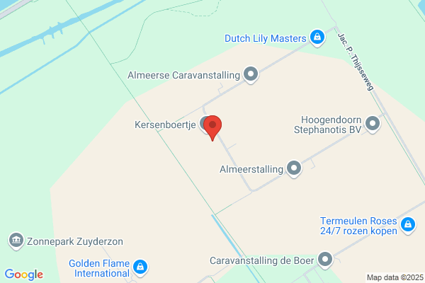 Pompoen
