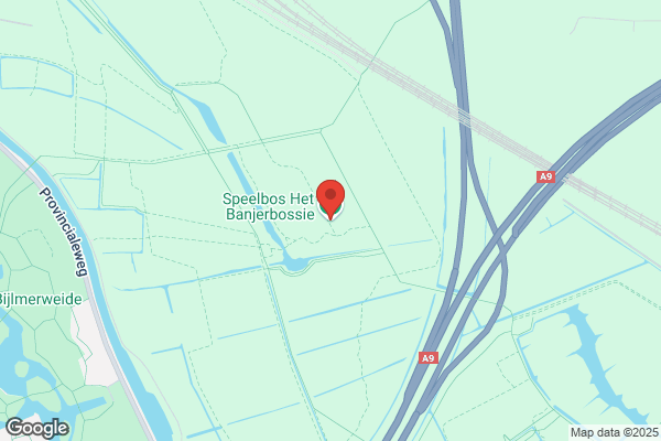 Bos, Rene