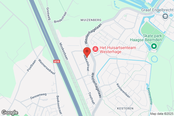 Carat Nederland