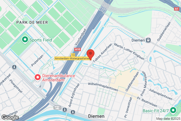 Dutch Course