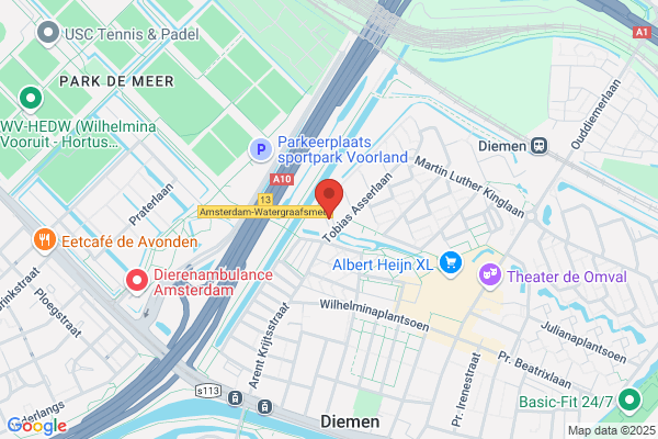 Prolingua Dutch Courses