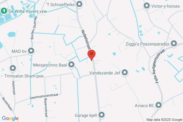 Drankengroothandel Van Dijck Diessen Bv