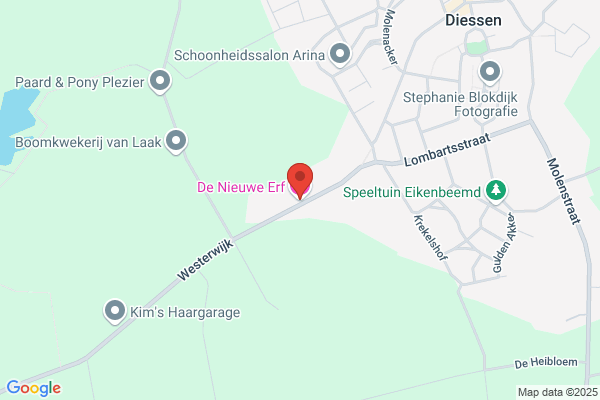 Nieuwe Erf, De