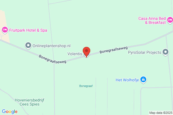 Boomkwekerij Lindenhof Bv