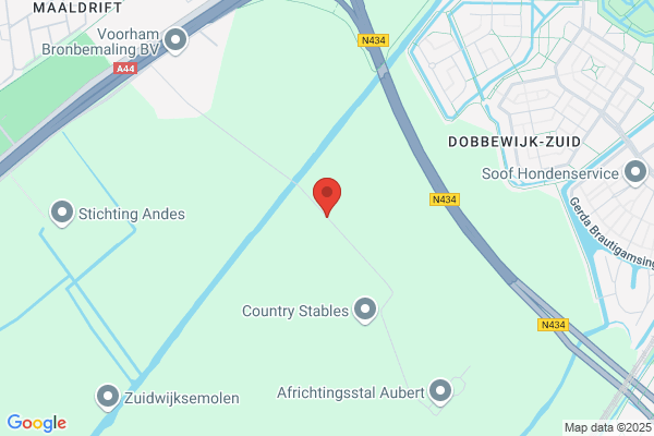 Nieuwe Weg, De