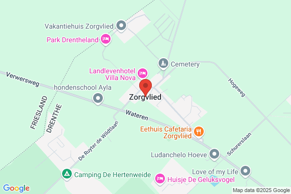 Odis Zorgvlied Comb