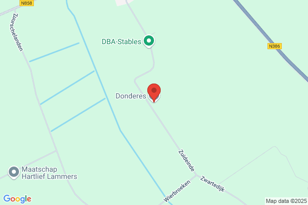 Dolstra
