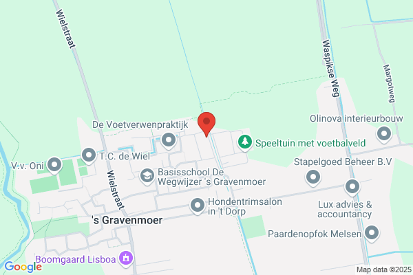 Tuimelaar, De