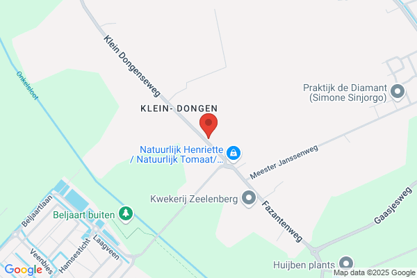 Leijsen, J Van