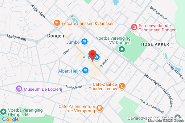 Dongen