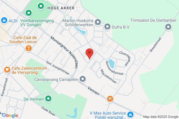 Driesen Lederfabriek Bv, P