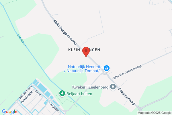 Verkooijen, Harry