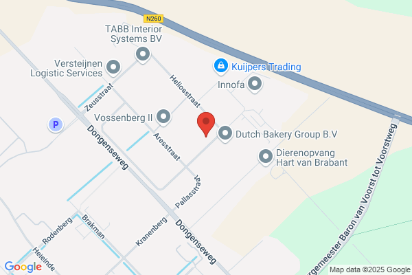Reining Dongen Bv