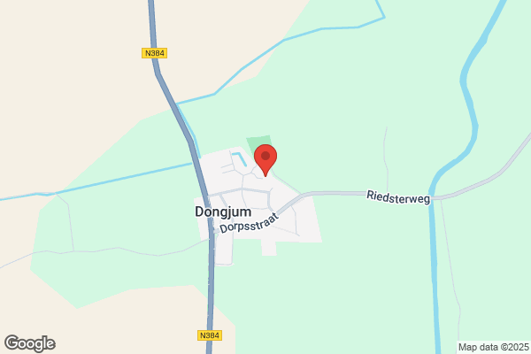 Jong, De