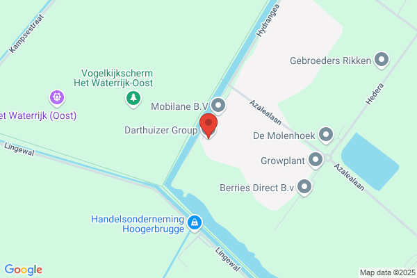 Darthuizer Groep