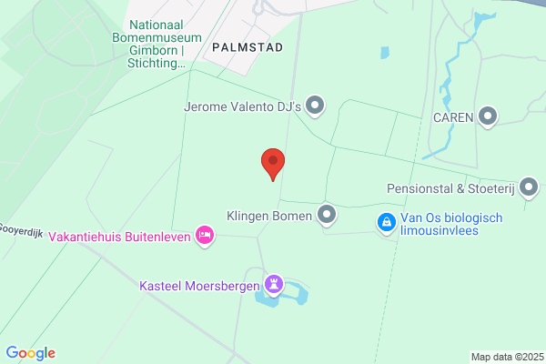 Datnet