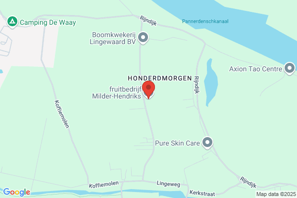 P Hendriks