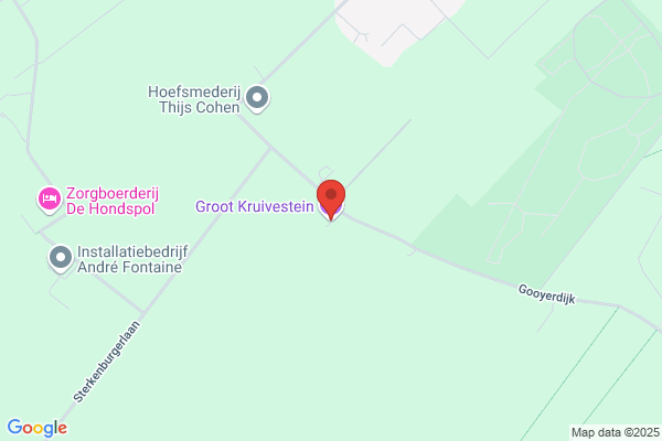 Beint De Groot