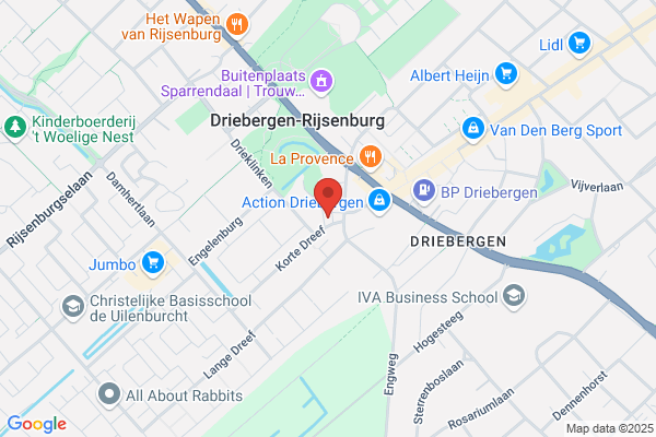 Cultuur Consult Management W.C.J. Koot B