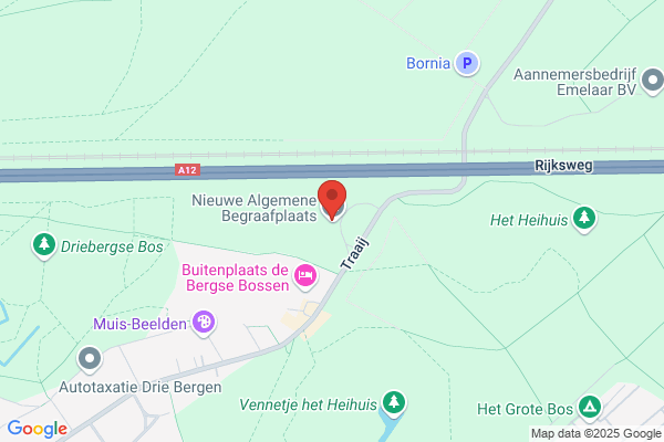 Van Bemmelen