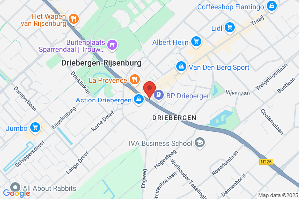 Dierenartspraktijk Driebergen Leersum Eo