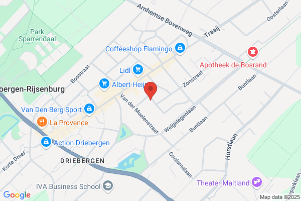 Souza Beplantingen Tuinontwerp Hovenier De